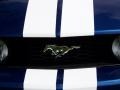 2006 Vista Blue Metallic Ford Mustang Roush Stage 1 Coupe  photo #12