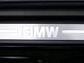 2004 Black Sapphire Metallic BMW 3 Series 330i Coupe  photo #21