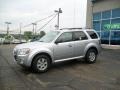 Ingot Silver Metallic - Mariner I4 Photo No. 1