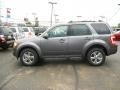 2010 Sterling Grey Metallic Ford Escape Limited V6  photo #6
