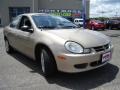 2002 Light Almond Pearl Metallic Dodge Neon SE  photo #7