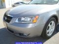 Steel Gray - Sonata LX V6 Photo No. 9