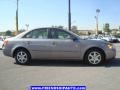 Steel Gray - Sonata LX V6 Photo No. 14