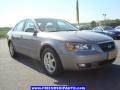 Steel Gray - Sonata LX V6 Photo No. 15
