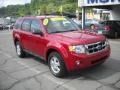 2010 Sangria Red Metallic Ford Escape XLT V6 4WD  photo #18