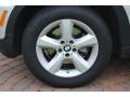 Titanium Silver Metallic - X5 3.0si Photo No. 4