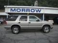 Light Pewter Metallic - Blazer LS 4x4 Photo No. 1