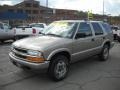 Light Pewter Metallic - Blazer LS 4x4 Photo No. 18