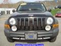 Black - Liberty Renegade 4x4 Photo No. 8