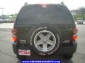 Black - Liberty Renegade 4x4 Photo No. 11