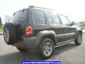 2006 Black Jeep Liberty Renegade 4x4  photo #13