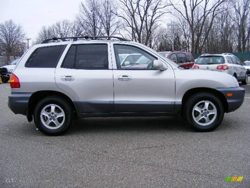 2004 Santa Fe GLS - Pewter / Gray photo #6