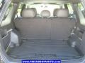 2009 Black Pearl Slate Metallic Ford Escape XLT V6  photo #10