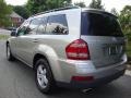 Pewter Metallic - GL 450 Photo No. 3