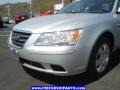 Radiant Silver - Sonata GLS Photo No. 9