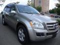 Pewter Metallic - GL 450 Photo No. 9