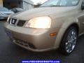 Champagne Beige Metallic - Forenza S Sedan Photo No. 9