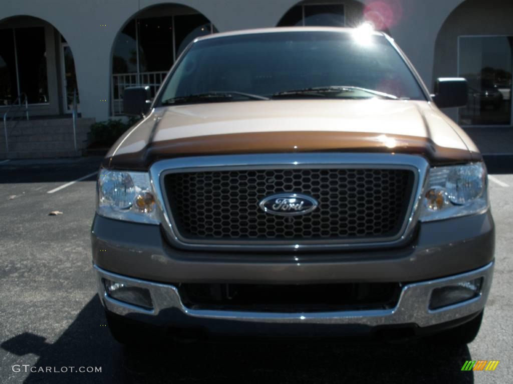 2005 F150 Lariat SuperCrew 4x4 - Arizona Beige Metallic / Tan photo #8