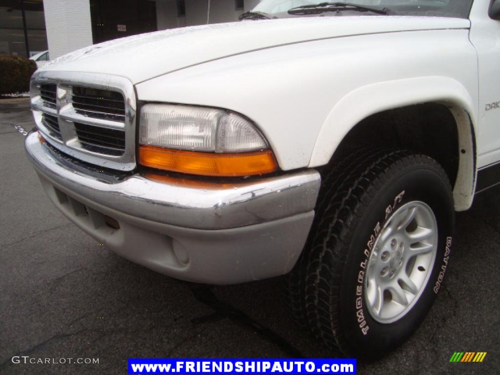 2002 Dakota SLT Regular Cab 4x4 - Bright White / Dark Slate Gray photo #9
