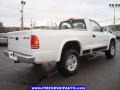 Bright White - Dakota SLT Regular Cab 4x4 Photo No. 13