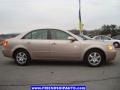 Golden Beige - Sonata LX V6 Photo No. 14