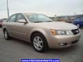 Golden Beige - Sonata LX V6 Photo No. 15