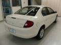 2001 Stone White Dodge Neon SE  photo #4