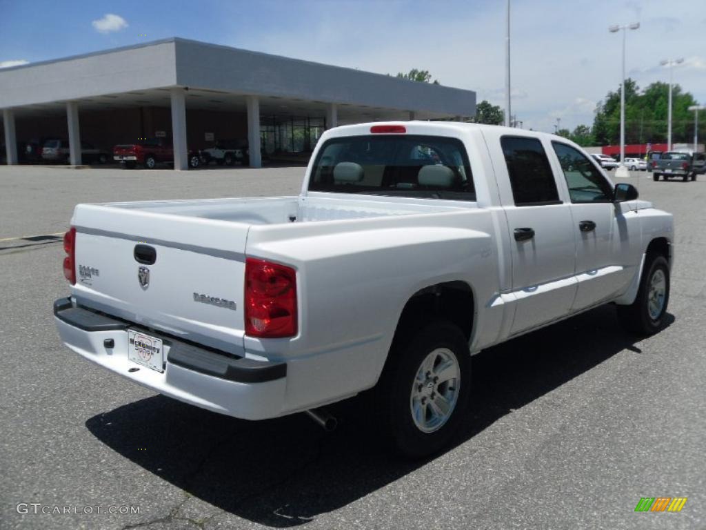 2010 Dakota ST Crew Cab - Stone White / Dark Slate Gray/Medium Slate Gray photo #4