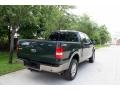 2005 Aspen Green Metallic Ford F150 Lariat SuperCrew 4x4  photo #9