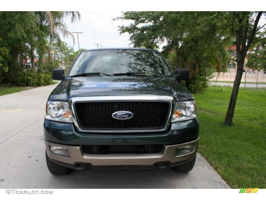 2005 F150 Lariat SuperCrew 4x4 - Aspen Green Metallic / Tan photo #16