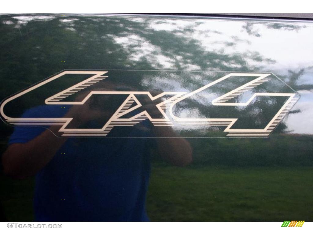 2005 F150 Lariat SuperCrew 4x4 - Aspen Green Metallic / Tan photo #90