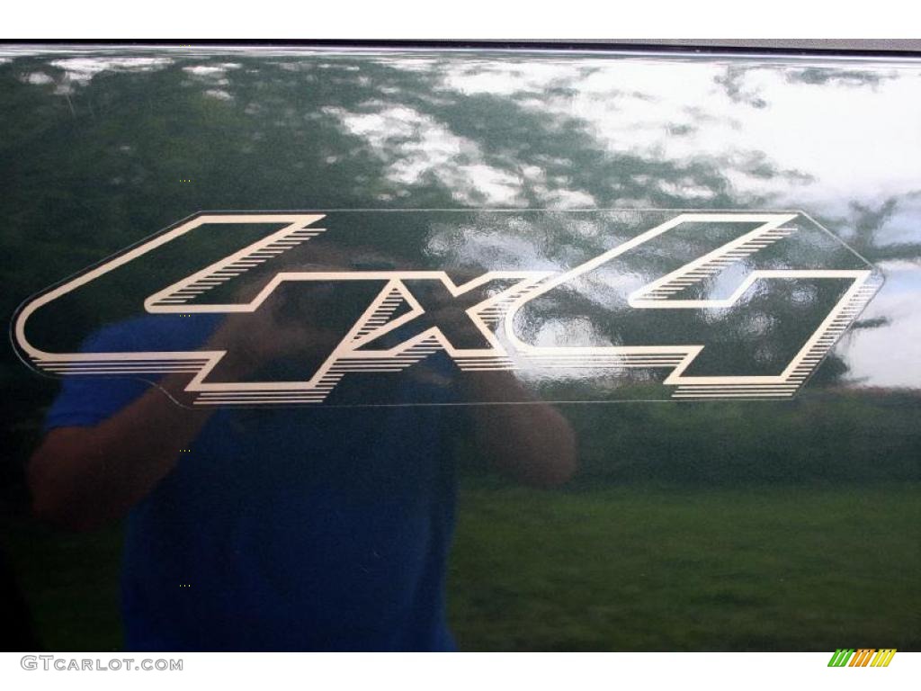 2005 F150 Lariat SuperCrew 4x4 - Aspen Green Metallic / Tan photo #112