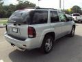 2007 Moondust Metallic Chevrolet TrailBlazer LT  photo #9