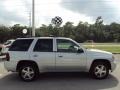 2007 Moondust Metallic Chevrolet TrailBlazer LT  photo #10