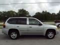 Silver Mist Metallic - Envoy SLE Photo No. 10