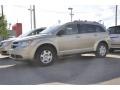 2010 White Gold Dodge Journey SE  photo #1