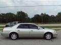 Light Platinum - DTS Sedan Photo No. 11