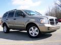 Light Khaki Metallic - Durango SLT 4x4 Photo No. 8