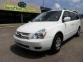 2009 Clear White Kia Sedona LX  photo #1