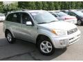 Titanium Metallic - RAV4 4WD Photo No. 3