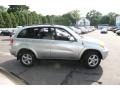 Titanium Metallic - RAV4 4WD Photo No. 4