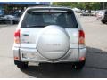 Titanium Metallic - RAV4 4WD Photo No. 6