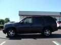 2007 Graphite Metallic Chevrolet TrailBlazer LS 4x4  photo #11