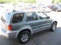 Titanium Green Metallic - Escape Hybrid Photo No. 6