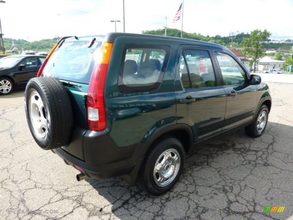 2003 CR-V LX 4WD - Clover Green Pearl / Saddle photo #4