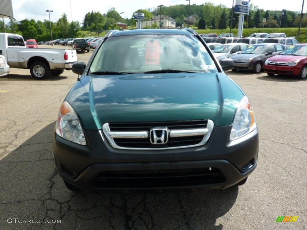 2003 CR-V LX 4WD - Clover Green Pearl / Saddle photo #7