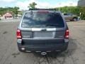 2009 Sterling Grey Metallic Ford Escape Limited V6 4WD  photo #3