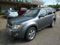 2009 Sterling Grey Metallic Ford Escape Limited V6 4WD  photo #7