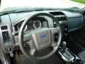2009 Sterling Grey Metallic Ford Escape Limited V6 4WD  photo #10