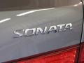 Willow Gray - Sonata GLS Photo No. 8